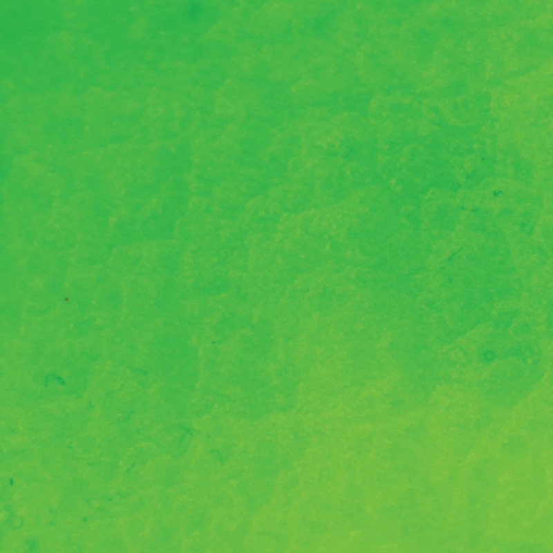 167063
