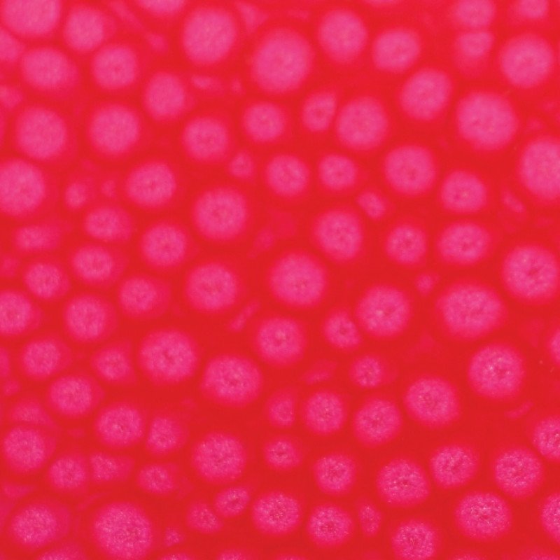 166062