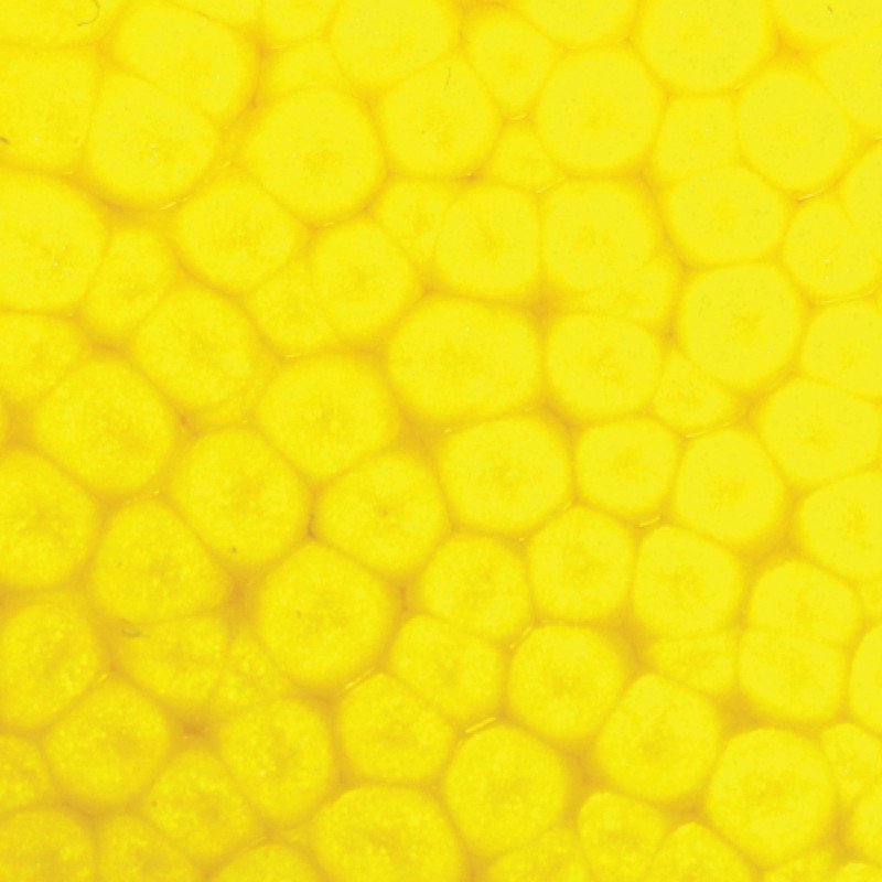 166060
