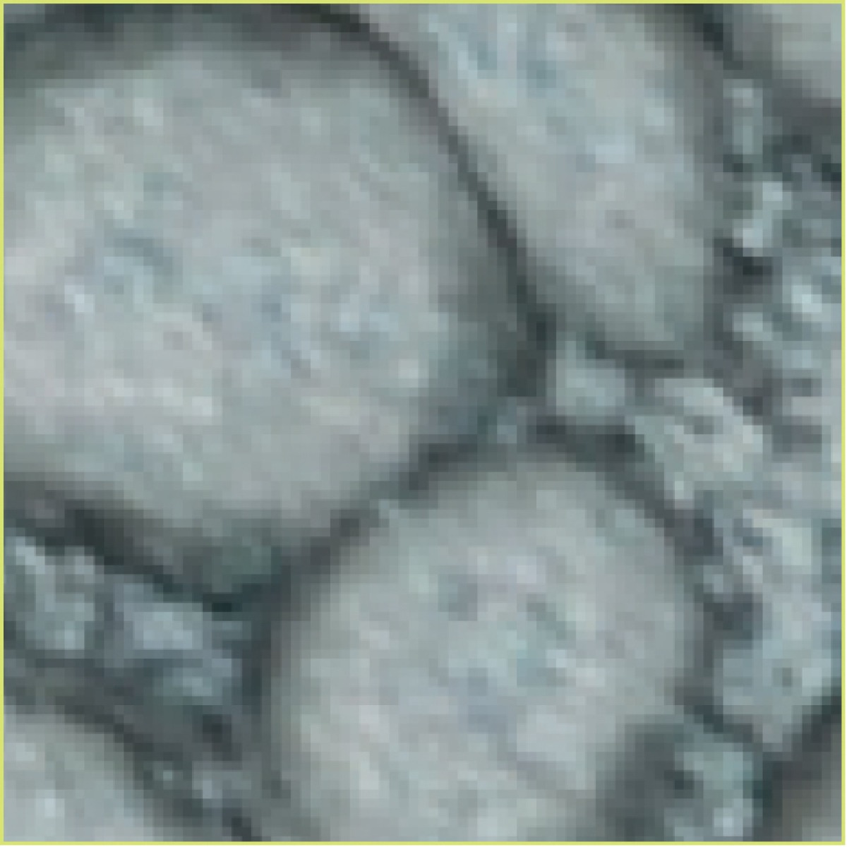 Pierredelune50