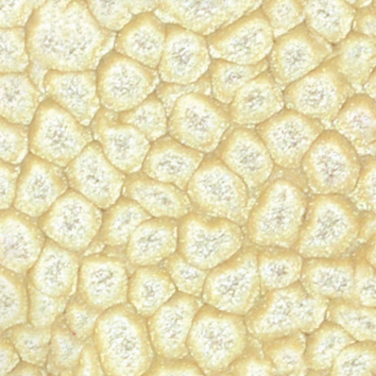 Pébéo Peinture à Effet Alvéolé FANTASY PRISME 45 ML BLANC COQUILLE Nuancier
