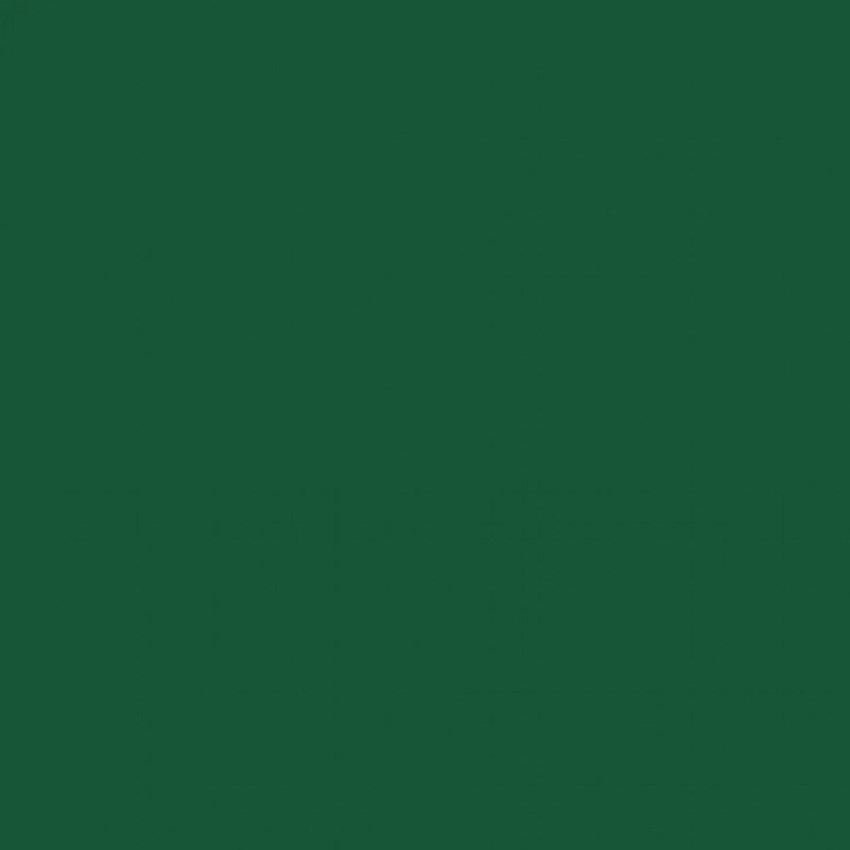 Pébéo Peinture Acrylique Décorative DECO BRILLANT 45 ML VERT FONCE Nuancier