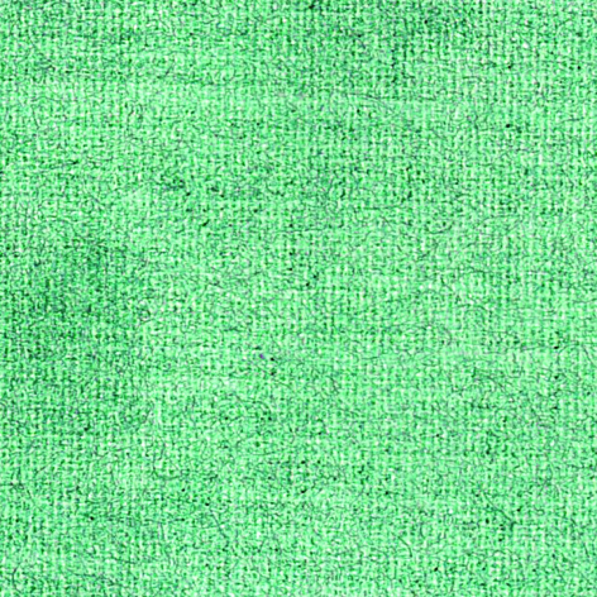 Pébéo Peinture pour Tissus SETACOLOR OPAQUE 45 ML NACRE VERTE Nuancier