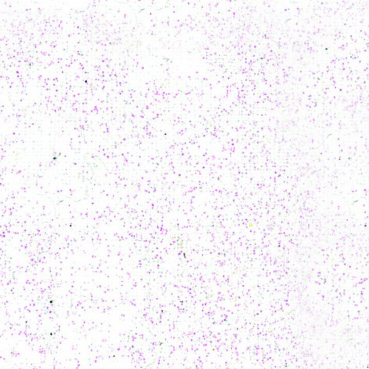 Pébéo Peinture pour Tissus SETACOLOR TISSUS CLAIRS PAILLETES 45 ML DIAMANT Nuancier