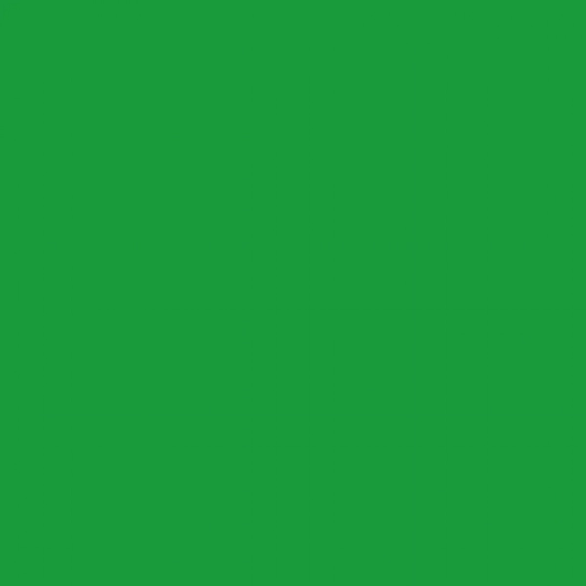 Pébéo Peinture Acrylique ACRYLIQUE MAT PUB 500 ML VERT PERMANENT Nuancier