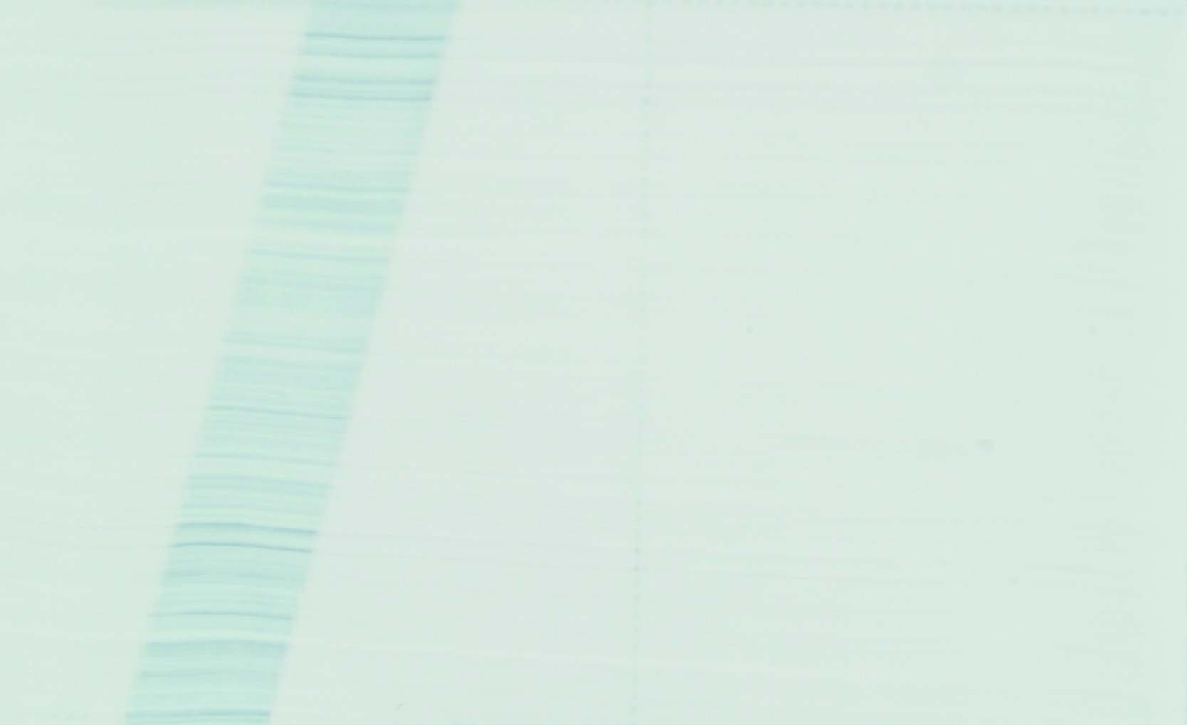 Pébéo Peinture Acrylique ARTIST ACRYLICS 37 ML BLANC DE TITANE Nuancier